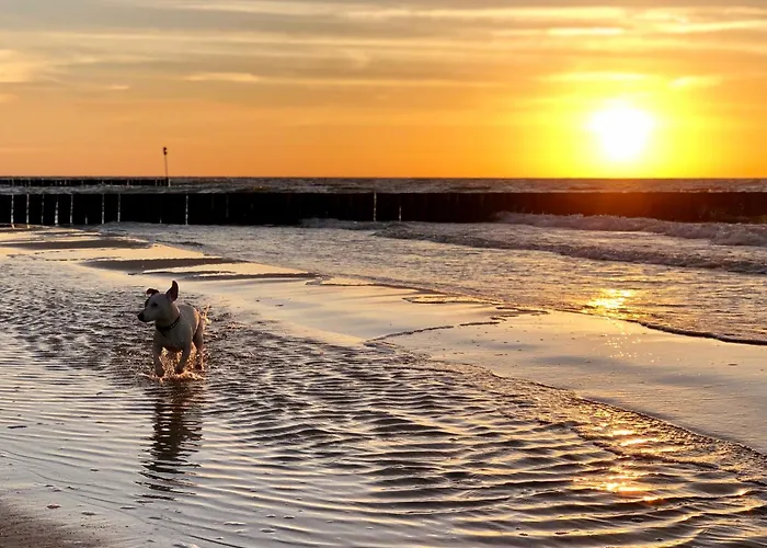 Blue Mare Solna 404, Blisko Morza, Pkp, Rck, Super Lokalizacja Колобжег